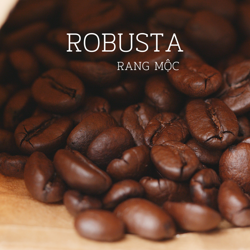 ROBUSTA